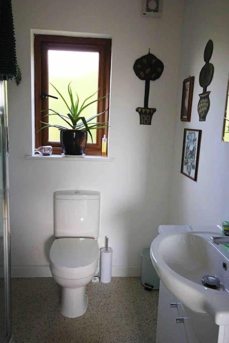 ביוד Spacious Cabin On Isolated Farm With Sea View מראה חיצוני תמונה